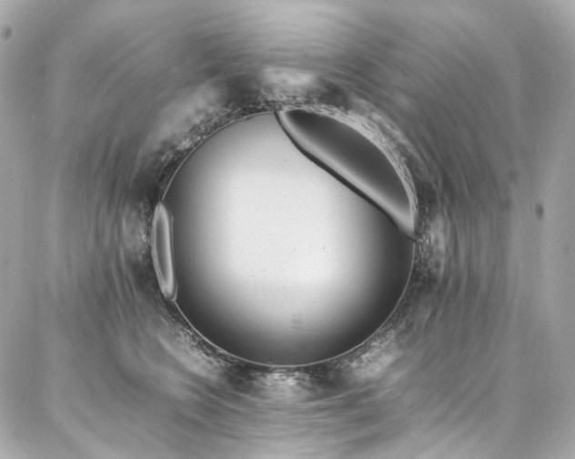 X0000086970566200704161546
