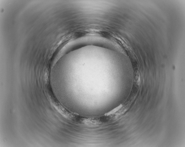 X0000086970568200704161546