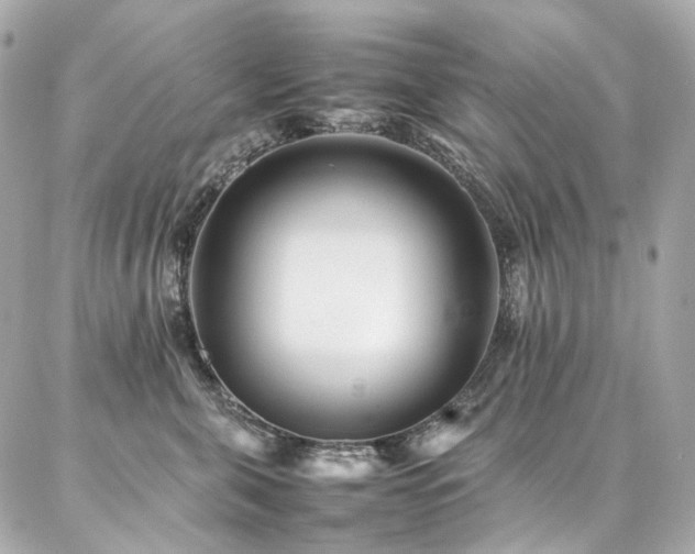 X0000086970571200704161546