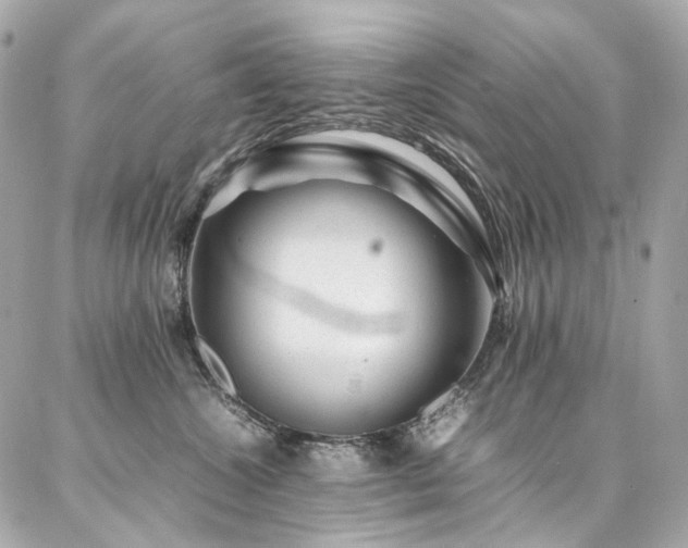 X0000086970572200704161546