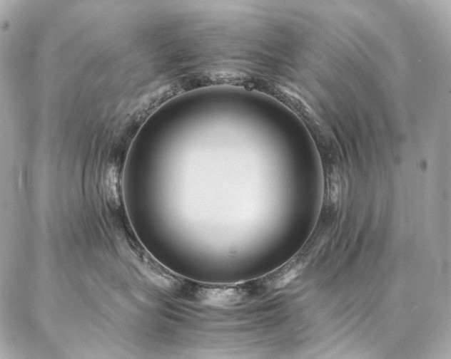 X0000086970575200704161546
