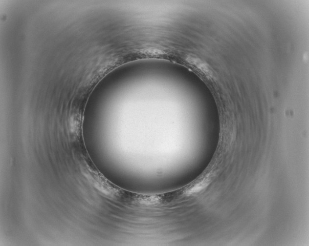X0000086970576200704161546