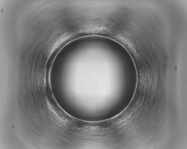 X0000086970582200704161545