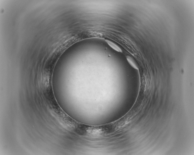 X0000086970602200704161545