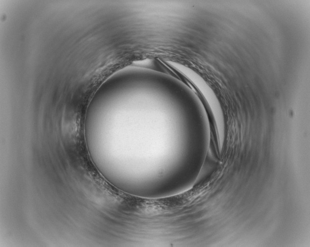 X0000086970608200704161545