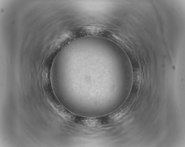 X0000086970615200704161545