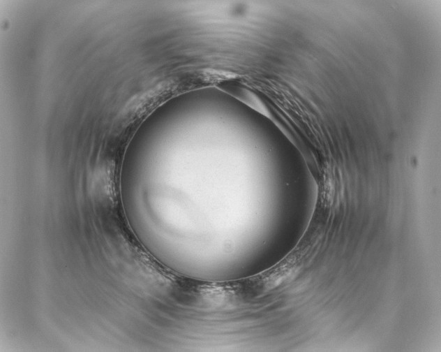 X0000086970616200704161545