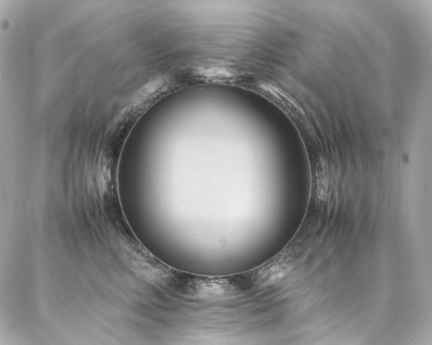 X0000086970618200704161545