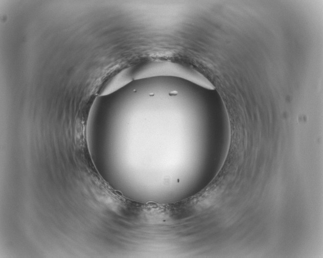 X0000086970624200704161545