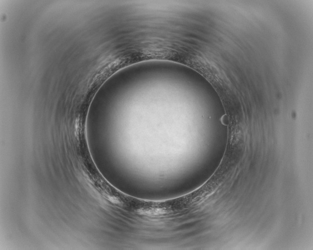 X0000086970647200704161544