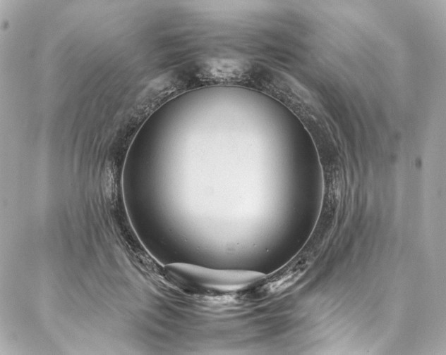 X0000086970651200704161544