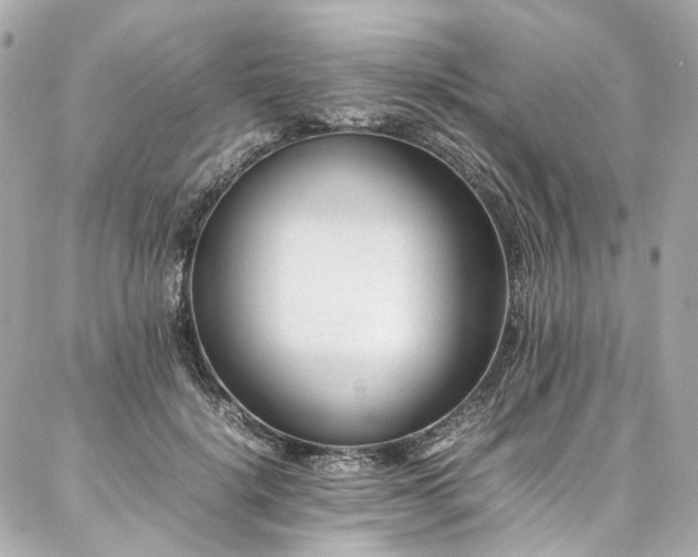 X0000086970652200704161544
