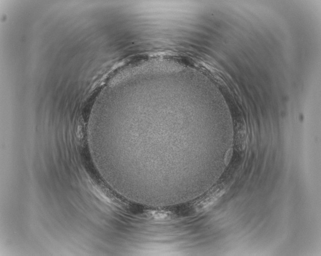 X0000086970654200704161545