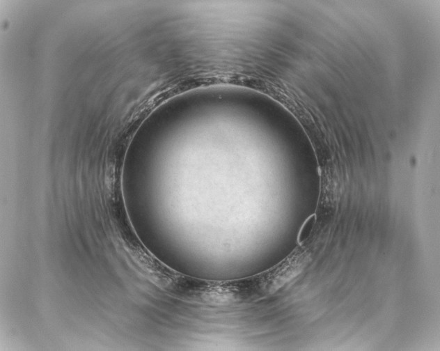 X0000086970656200704161545