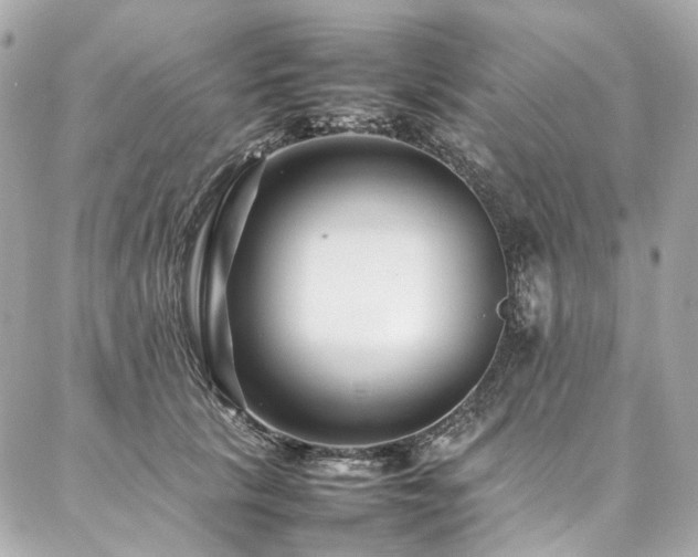 X0000086970657200704161545