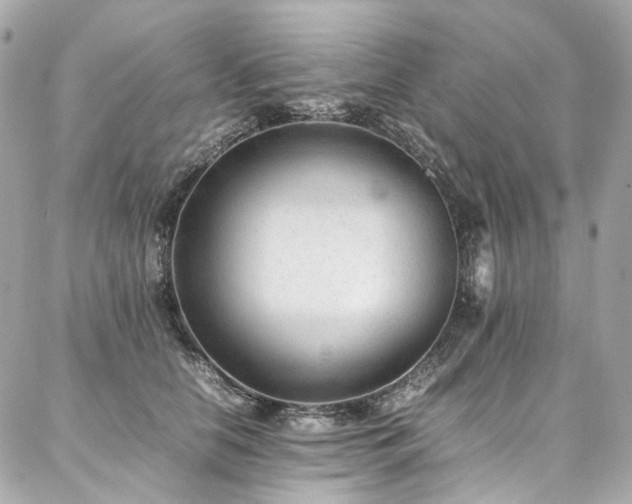 X0000086970658200704161545