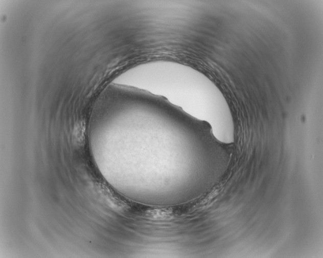 X0000086970660200704161545