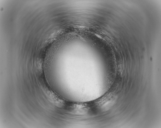 X0000086970662200704161545