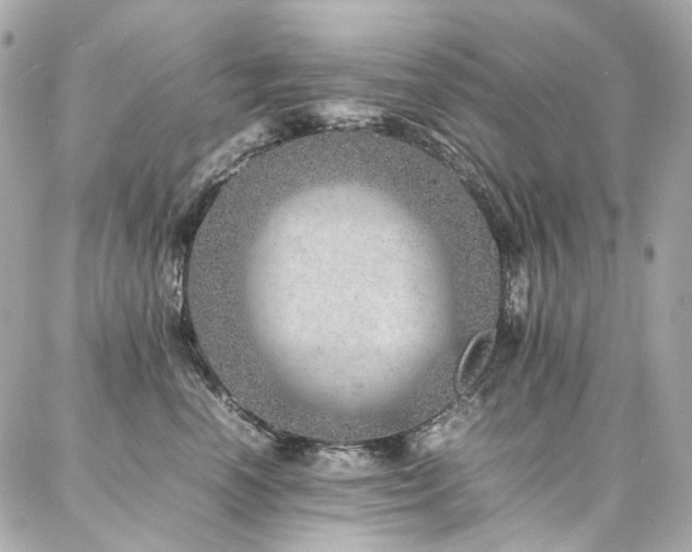 X0000086970666200704161545