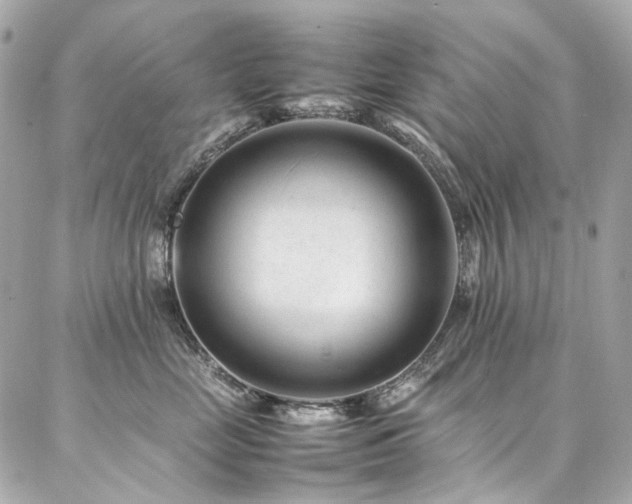 X0000086970669200704161545