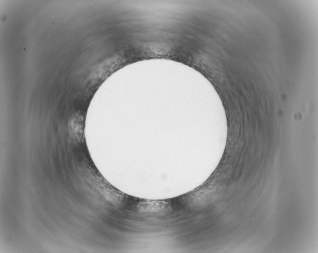 X0000086970672200704161545