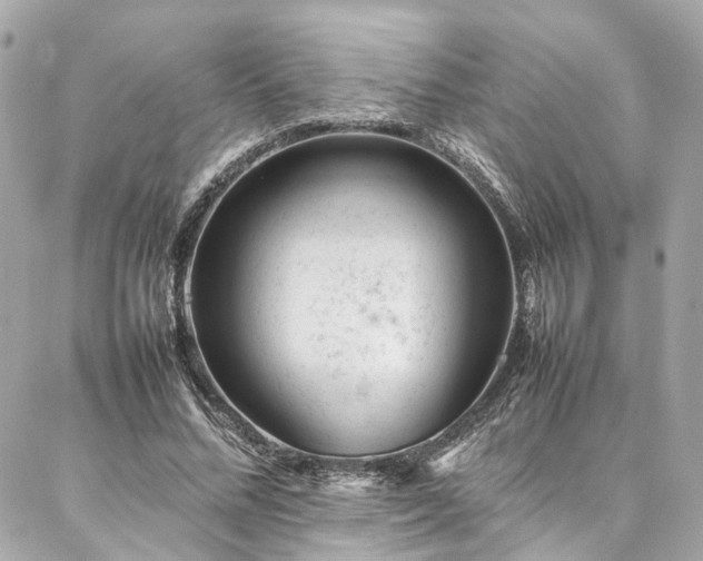 X0000086970684200704161544