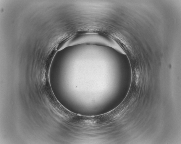 X0000086970692200704161544