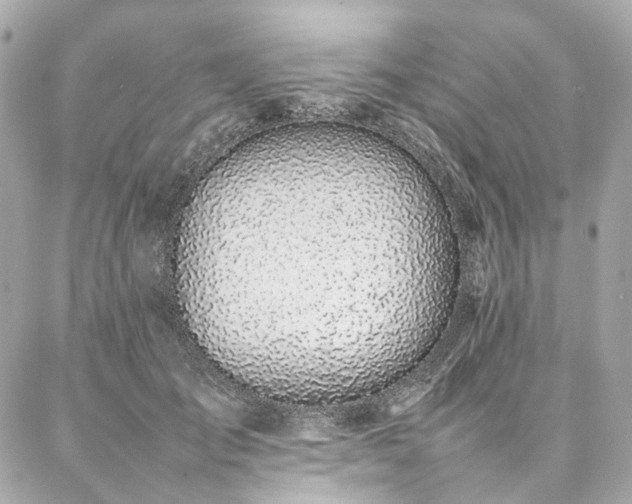 X0000086970701200704161544