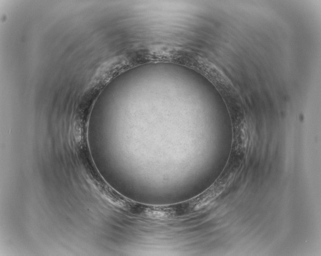 X0000086970706200704161543