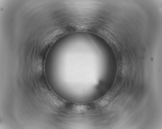 X0000086970710200704161543