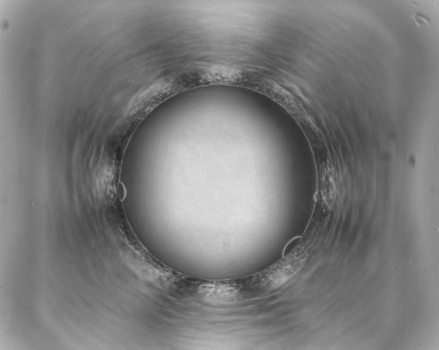 X0000086970714200704161543