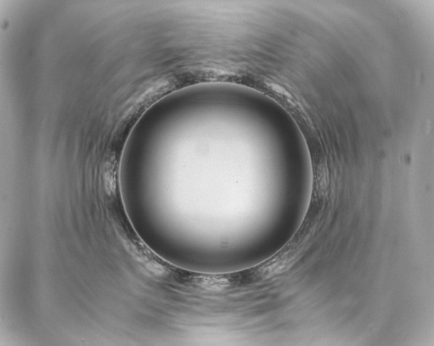 X0000086970719200704161543