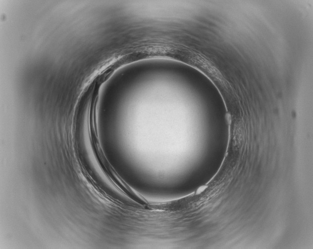 X0000086970722200704161543