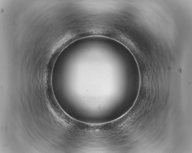 X0000086970730200704161543