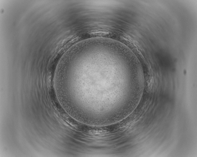 X0000086970745200704161543