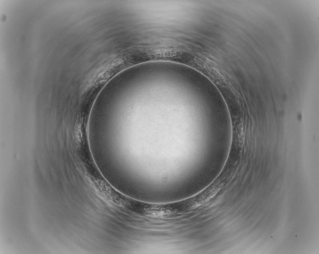X0000086970746200704161543