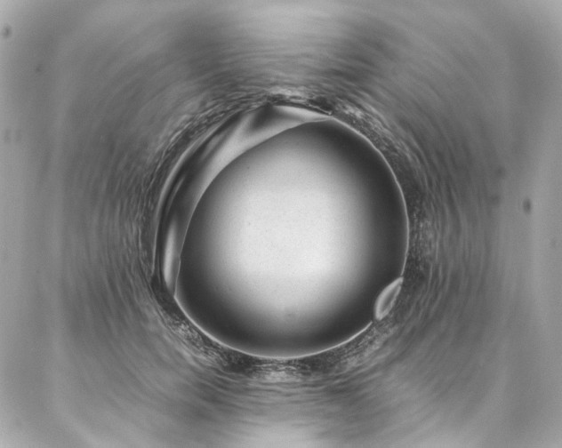 X0000086970750200704161543