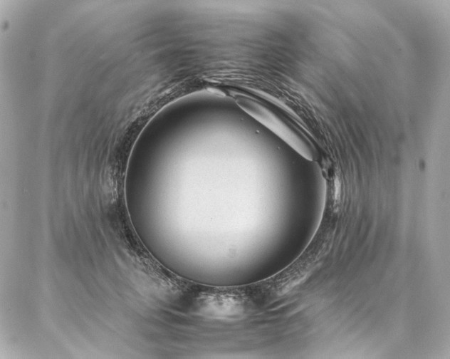 X0000086970751200704161543
