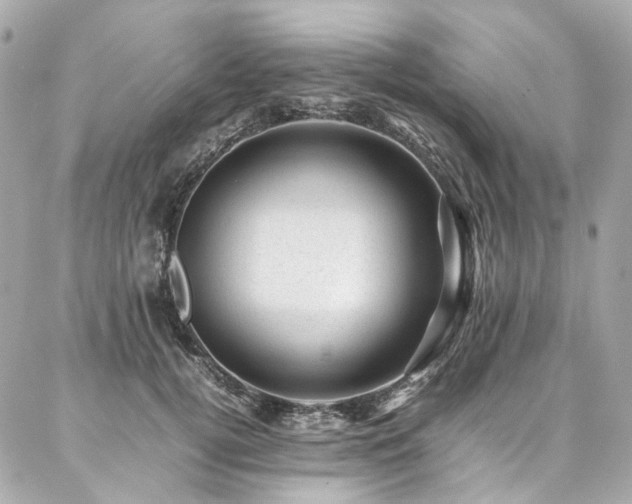 X0000086970752200704161543