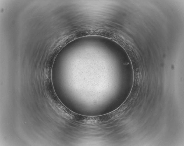 X0000086970756200704161543