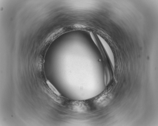 X0000086970762200704161543