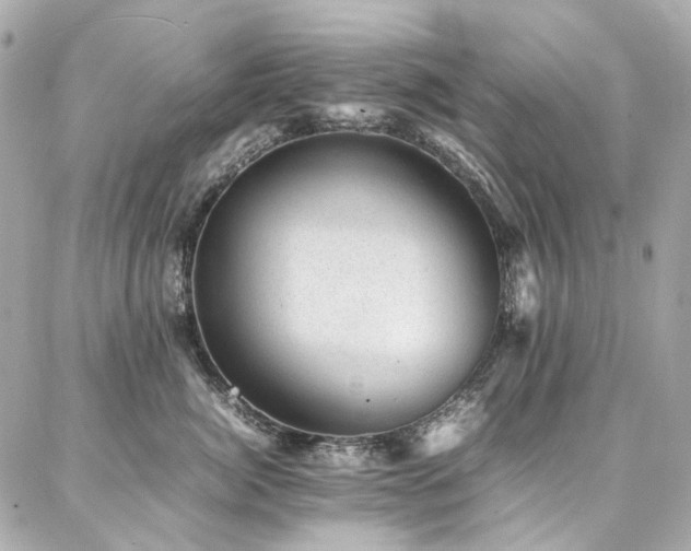 X0000086970764200704161543
