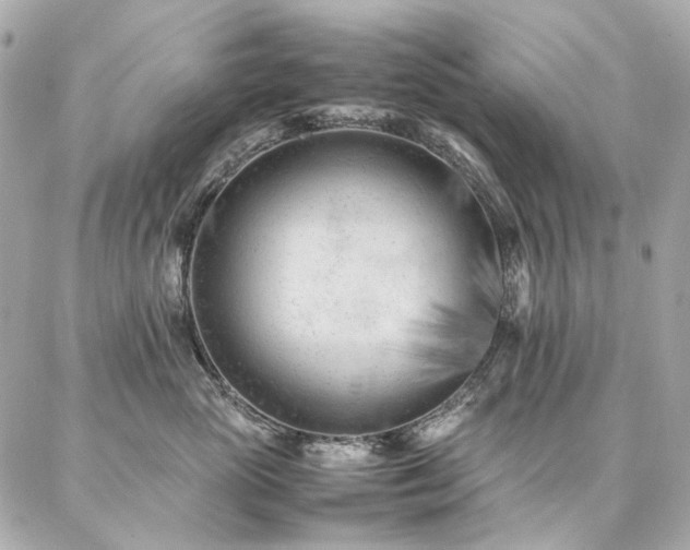 X0000086970765200704161543