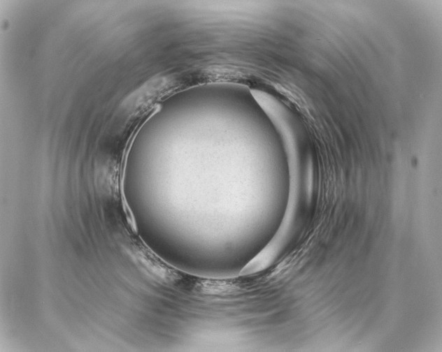 X0000086970766200704161543