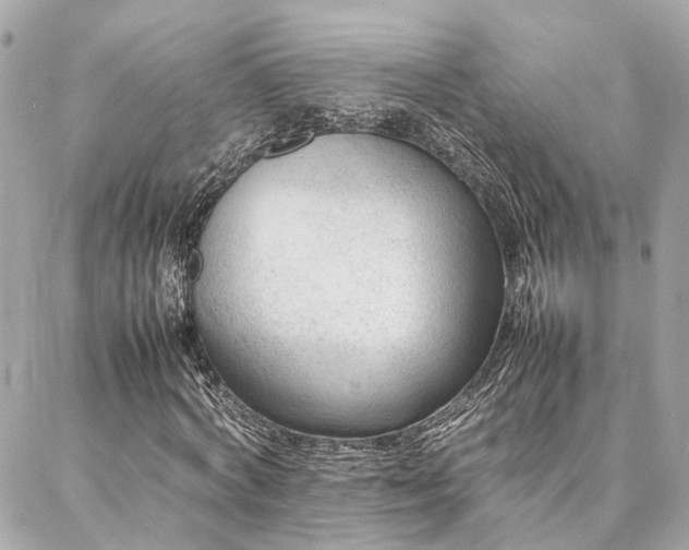 X0000086970772200704161542