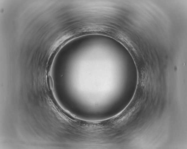 X0000086970786200704161542