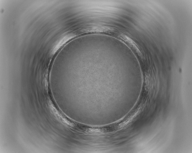 X0000086970794200704161542