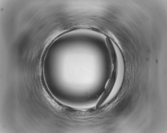X0000086970795200704161542