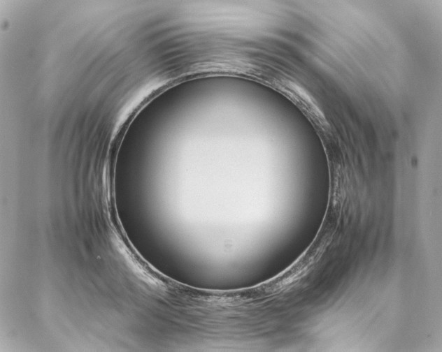 X0000086970796200704161542