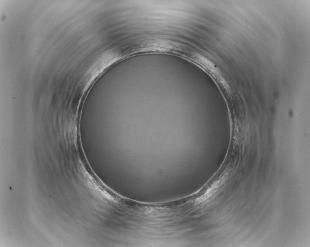 X0000086970802200704161542